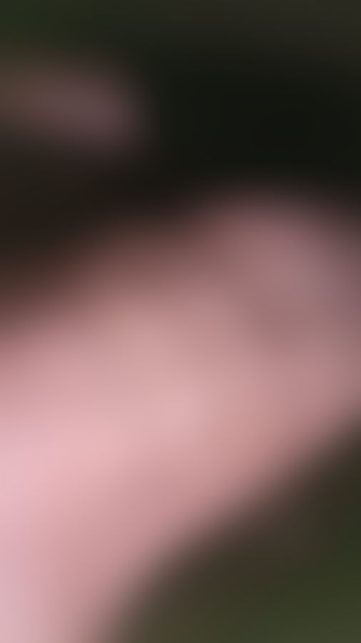 MrRayan, Un homme, 22 ans, Biel/Bienne (3)